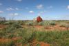 NIce green Outback, WA