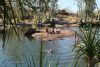 Manning pool, Mount Barnett, Gibb River Road, WA