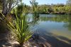 Manning pool, Mount Barnett, Gibb River Road, WA