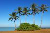 Dundee Beach, NT