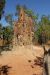 Termite Mounds at Litchfield National Parc, NT